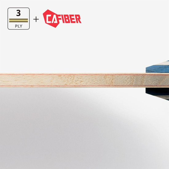 Timo Boll CAF