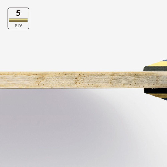 Timo Boll J FL