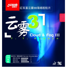 DHS Cloud & Fog 3