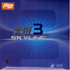 DHS Skyline 3