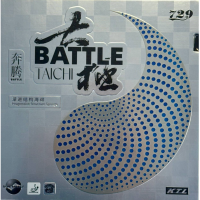 Friendship 729 Battle Taichi 37/39