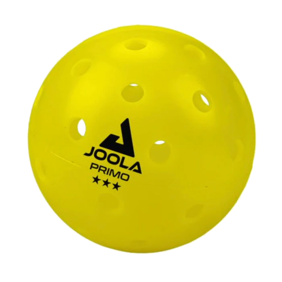 JOOLA Pickleball Set 2x Astro Pickelball Paddle + 4er Primo Pickleball Balls