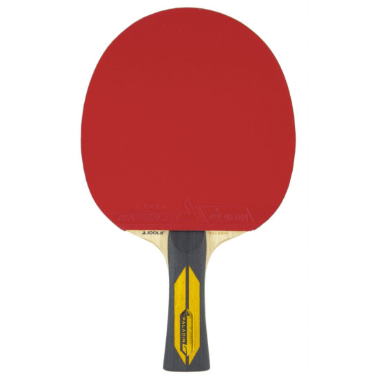 Racket JOOLA PALADIN RHYZEN ICE