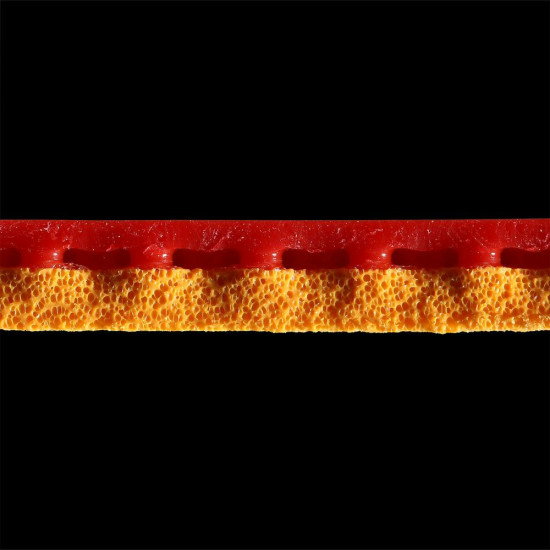 DNA Dragon Power 55
