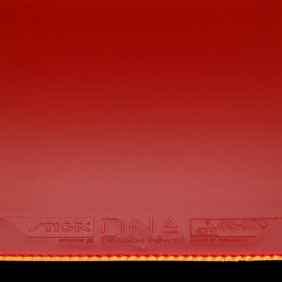 DNA Dragon Power 55