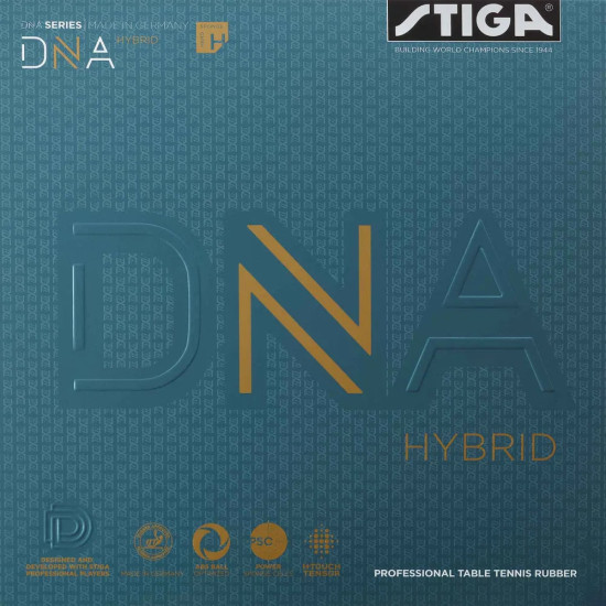 DNA Hybrid H