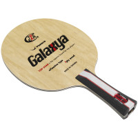 Yasaka Galaxya